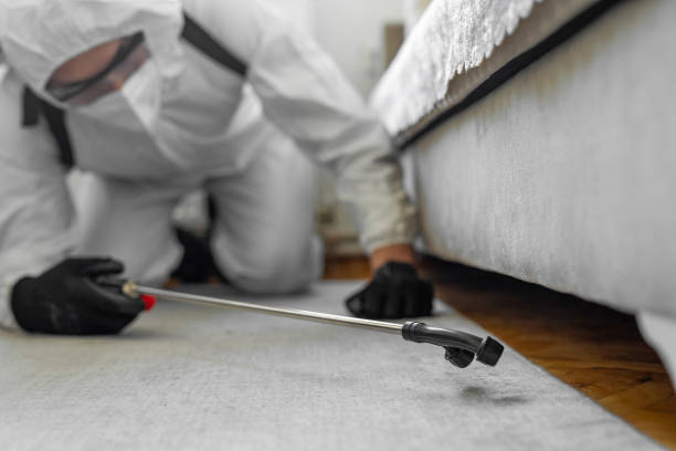 Professional Cockroach Control technician working in Aurora, MN