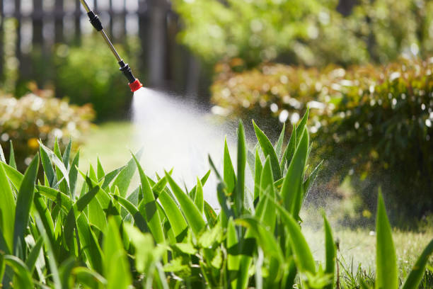 24/7 Emergency Cockroach Control experts in Aurora, MN